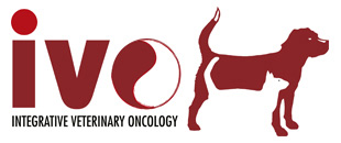 Integrative Veterinary Oncology